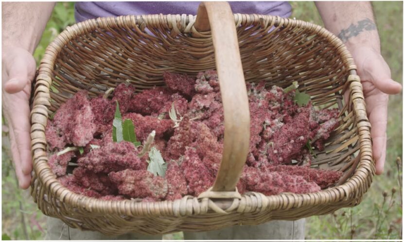 Tips on Using Sumac and Its Substitutes